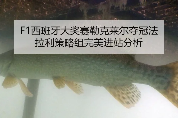 xi-ban-ya-da-jiang-sai-lei-ke-lai-er-duo-guan-fa-la-li-ce-lve-zu-wan-mei-jin-zhan-fen-xi-3-929.jpg