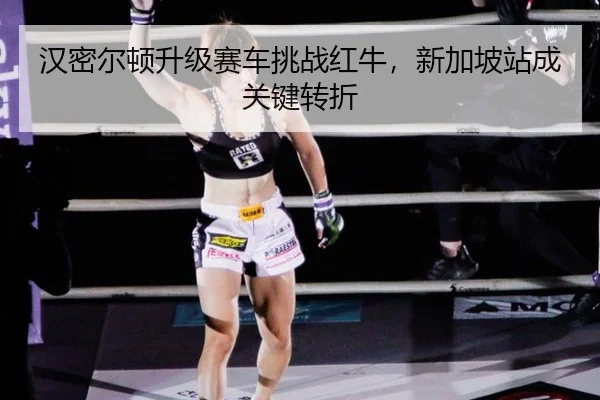 han-mi-er-dun-sheng-ji-sai-che-tiao-zhan-hong-niu-xin-jia-po-zhan-cheng-guan-jian-zhuan-zhe-3-429.jpg